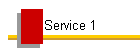 Service 1